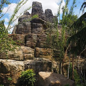 Red panda and Michie's tufted deer exhibit (Renovated historical mountain animal rock), 2024-06-30