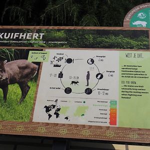 Michie's tufted deer signage, 2024-06-30
