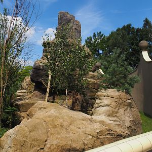 Red panda and Michie's tufted deer exhibit (Renovated historical mountain animal rock), 2024-06-30