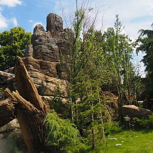 Red panda and Michie's tufted deer exhibit (Renovated historical mountain animal rock), 2024-06-30