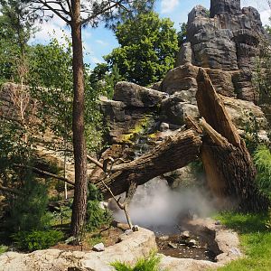 Red panda and Michie's tufted deer exhibit (Renovated historical mountain animal rock), 2024-06-30