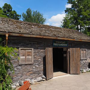 Forest guardian hut with walkway and education about the Himalayas and red pandas, 2024-06-30