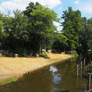Indian rhinoceros exhibit, 2024-06-30