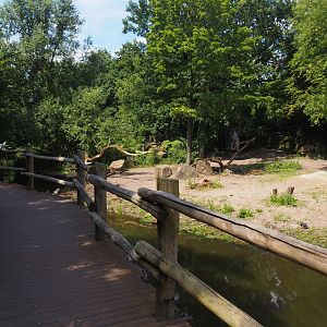 Indian rhinoceros exhibit and viewing boardwalk, 2024-06-30