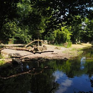 Indian rhinoceros exhibit, 2024-06-30