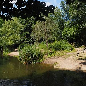 Indian rhinoceros exhibit, 2024-06-30