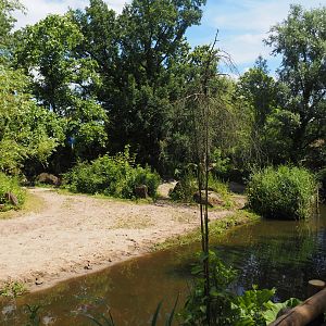 Indian rhinoceros exhibit, 2024-06-30