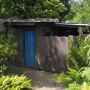 Second red panda exhibit holding building, 2024-06-30