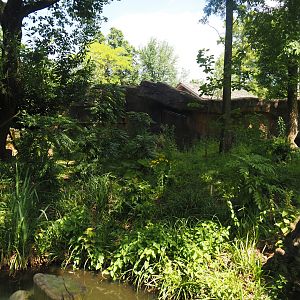 Second red panda exhibit, 2024-06-30