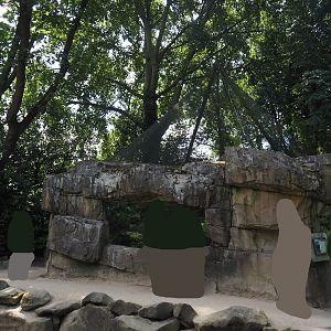 Siberian Pallas's cat exhibit, 2024-06-30