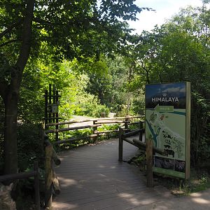 Entrance to the viewing boardwalk for the Indian rhinoceros exhibit, 2024-06-30