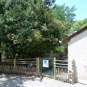 View around pygmy goat exhibit -Zoo d'Asson (2025)