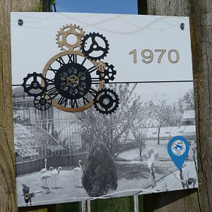 1970 picture of the greenhouse -Zoo d'Asson (2025)