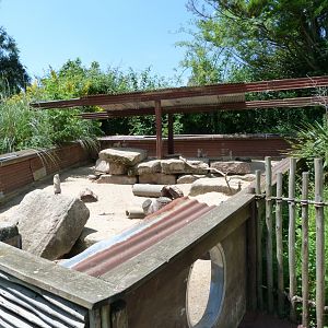 Black-tailed prairie dog exhibit -Zoo d'Asson (2025)