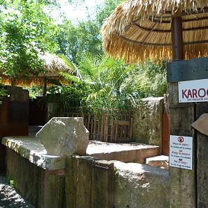 Cape porcupine exhibit -Zoo d'Asson (2025)