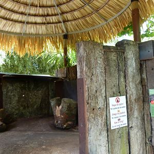 Cape porcupine exhibit -Zoo d'Asson (2025)