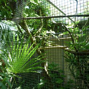 Lorikeet house view -Zoo d'Asson (2025)