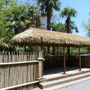 Western pygmy hippopotamus viewing area -Zoo d'Asson (2025)