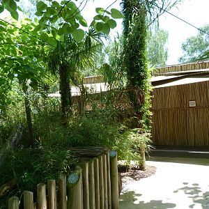 View around pygmy hippopotamus greenhouse -Zoo d'Asson (2025)