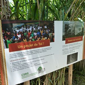 Western pygmy hippopotamus conservation sign -Zoo d'Asson (2025)