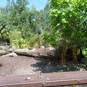 Western pygmy hippopotamus exhibit -Zoo d'Asson (2025)