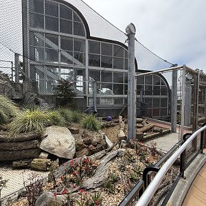Fossa exhibit upper part