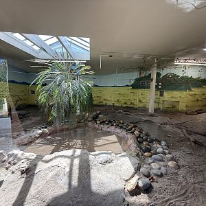 Indoor Komodo dragon enclosure