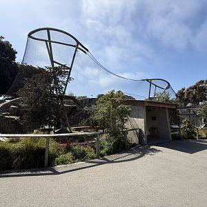 Snow leopard exhibit