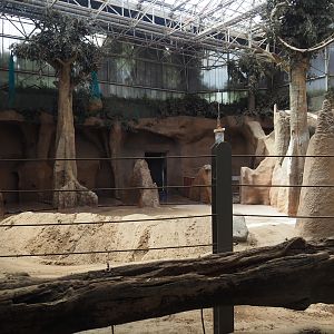Indoor housing Asian elephants, 2024-06-30