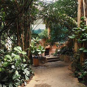 View towards the Indian rhinoceros indoor exhibit in Taman Indah (Asian elephant, Indian rhinoceros and Malayan tapir house), 2024-06-30