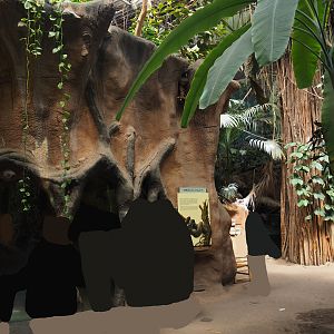 Python terrarium and aquarium in Taman Indah (Asian elephant, Indian rhinoceros and Malayan tapir house), 2024-06-30