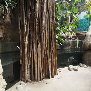 Asian fish tank  in Taman Indah (Asian elephant, Indian rhinoceros and Malayan tapir house), 2024-06-30