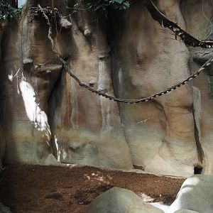 Taman Indah - Malayan tapir indoor exhibit, 2024-06-30