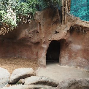 Taman Indah - Indian rhinoceros indoor exhibit, 2024-06-30