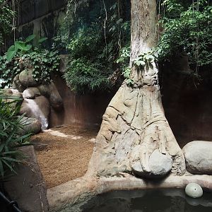 Taman Indah - Indian rhinoceros indoor exhibit, 2024-06-30