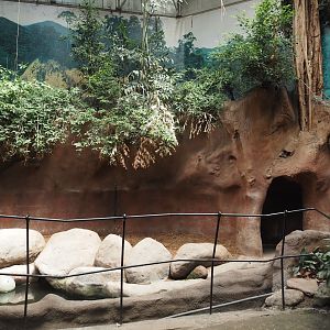 Taman Indah - Indian rhinoceros indoor exhibit, 2024-06-30