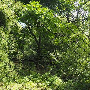 Burung Asia aviary, now closed former walk-through aviary, 2024-06-30