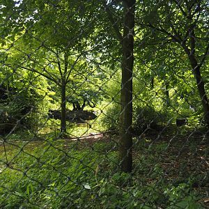 Burung Asia aviary, now closed former walk-through aviary, 2024-06-30