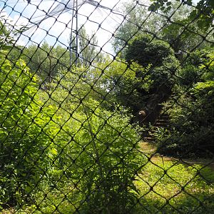 Burung Asia aviary, now closed former walk-through aviary, 2024-06-30