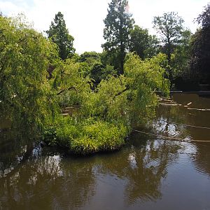 Unused primate island in the large pond - Smaller island connected to large island, 2024-06-30