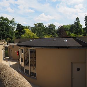 Unused primate building for the island in the large pond and off-show areas under the bridge, 2024-06-30