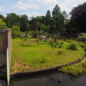Unused primate island in the large pond, 2024-06-30
