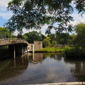 Large pond, Unused primate island and Historical bridge next to Sumatran tiger exhibits, 2024-06-30
