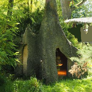 Indoor housing for dwarf mongoose in fake termite mound, 2024-06-30
