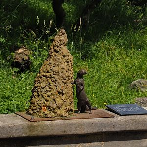 Dwarf mongoose and termite mound statue and Braille sign, 2024-06-30