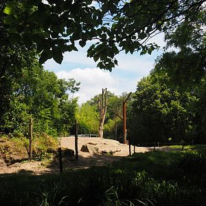 Asian elephant exhibit, 2024-06-30