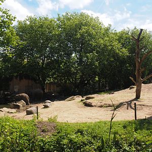 Asian elephant exhibit, 2024-06-30