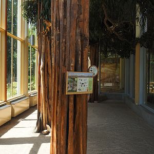 View in the Asiatic lion house, 2024-06-30