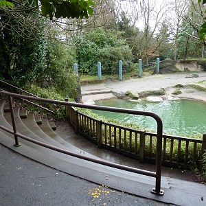 1.5 Acre Elephant Exhibit - Visitor Seats