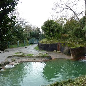 1.5 Acre Elephant Exhibit